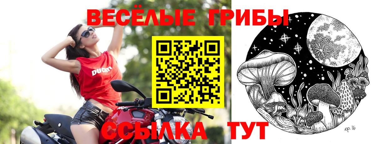 Галлюциногенные грибы мицелий Коломна