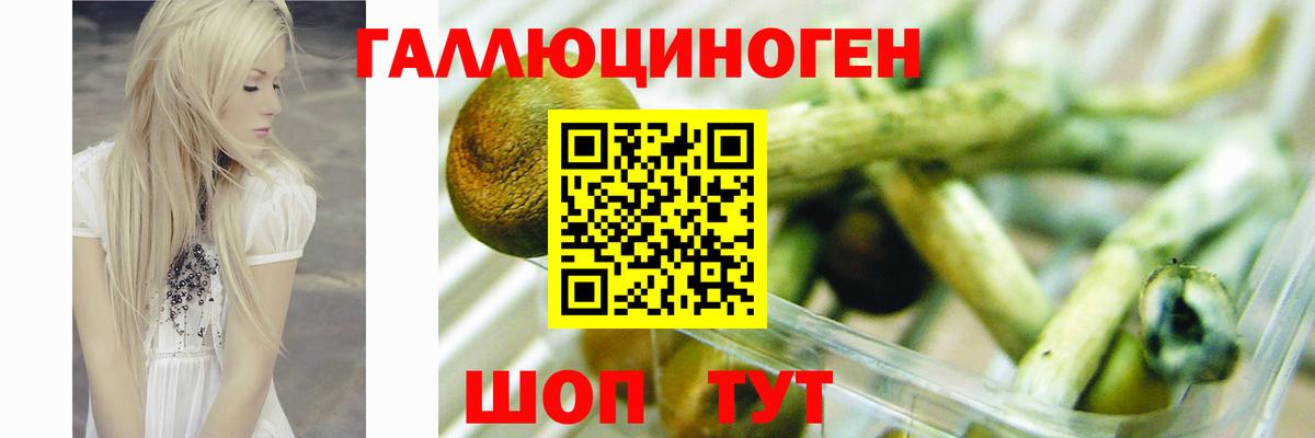 Галлюциногенные грибы мухоморы  Вход с VPN  Коломна  Галлюциногенные грибы GOLDEN TEACHER 